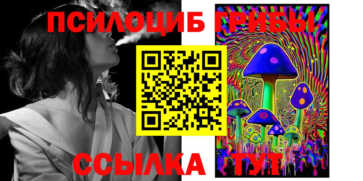 Карачаевск  где найти наркотики  Вход с VPN  Псилоцибиновые грибы мицелий 